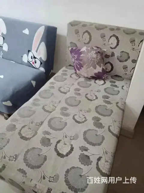 学府北路房屋出租 - 图片 7