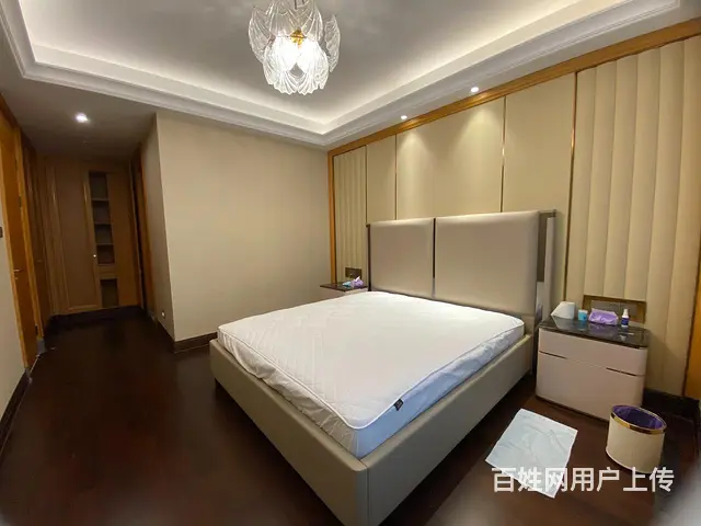 绿城兰园精装3房滨江华家池世茂天宸宝善桥世茂天玑带车位 - 图片 2