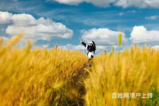呼伦贝尔旅游包车师傅排名穿越草原户外品质包车 - 图片 2