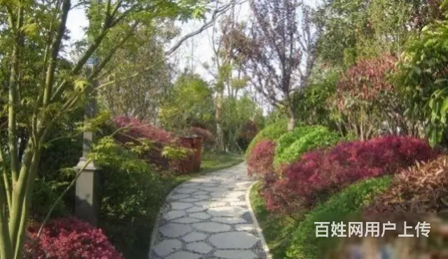 恐龙园旁长兴秀江南联排别墅边户毛坯245平米南进户 - 图片 11