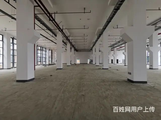 成都市成华区龙潭功能区三环路国有资产，高标准厂房出租 - 图片 2