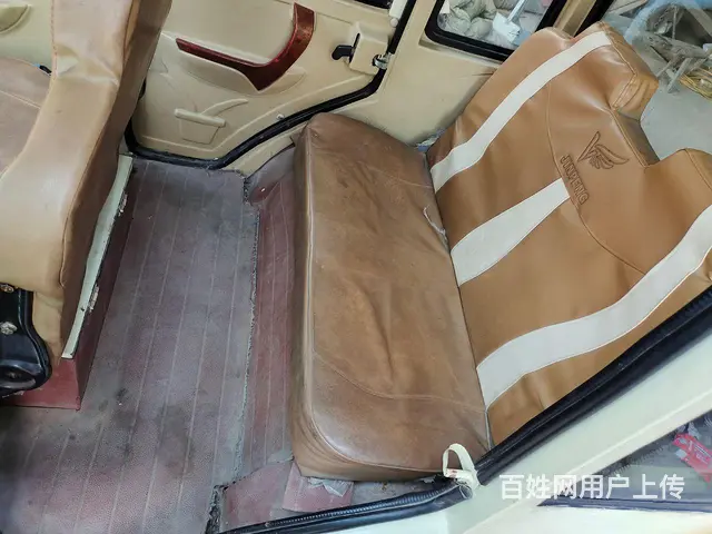 七成新金彭 - 图片 8