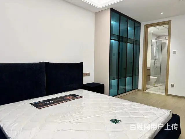 利兹城市公寓精装3房宝善桥宝善公寓东河春晓永康苑武林国际 - 图片 3