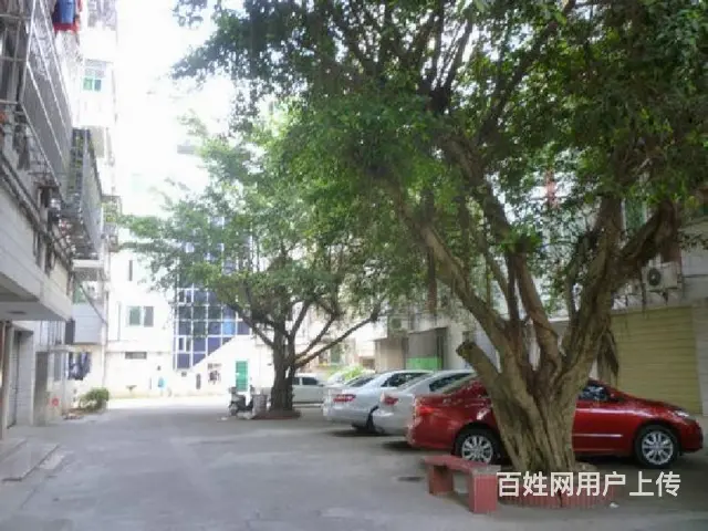 国兴商圈      大天花园3房楼梯房 - 图片 11