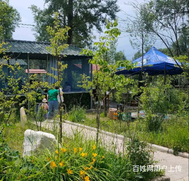 7825（七P）个人湟中区上新庄龙腾休闲庄生意火爆个人原因转 - 图片 7