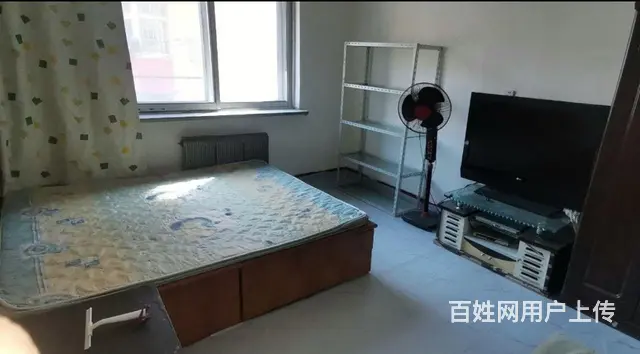 房屋出租 - 图片 3