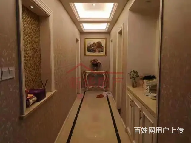 桃花源精装修带车库柴间 - 图片 3
