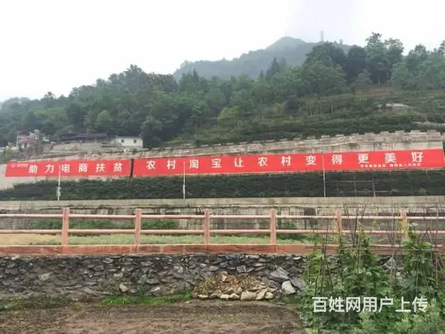 遂平墙上写标语 遂平墙体写标语 农村宣传标语 - 图片 1