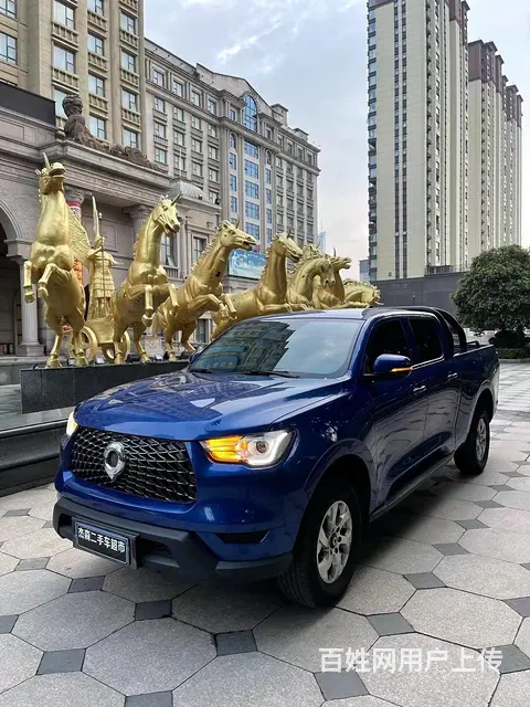 长城 炮 2019款 2.0T 手动 四驱领航型长箱 - 图片 1