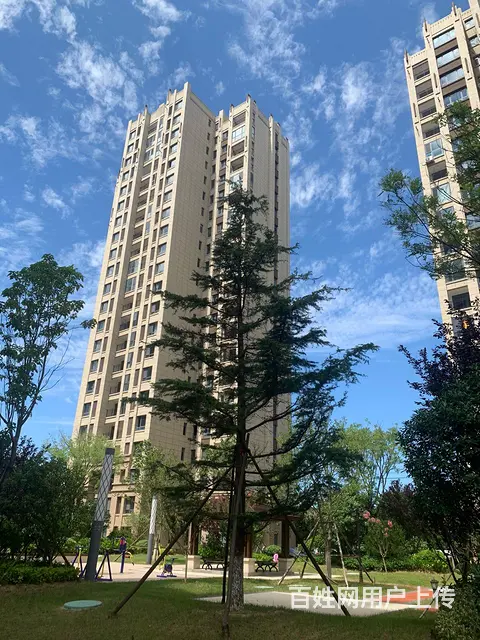 错过了南坊，别再错过南海 - 图片 5