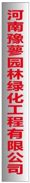 公司现需要、 设计策划 - 图片