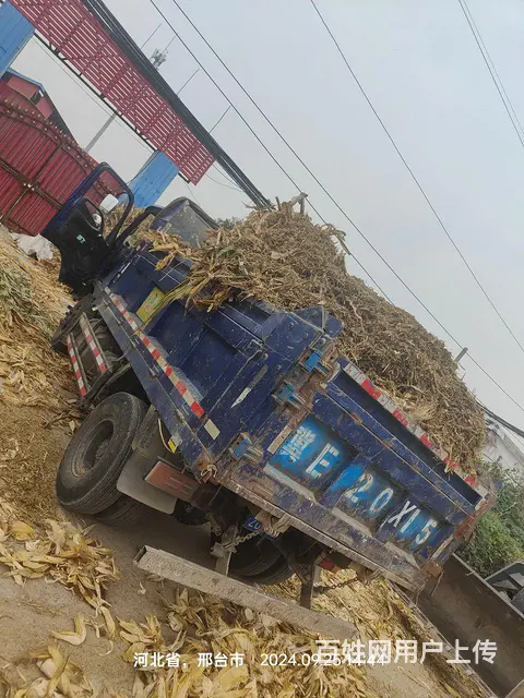 时代金刚 自卸车 国5 - 图片 8