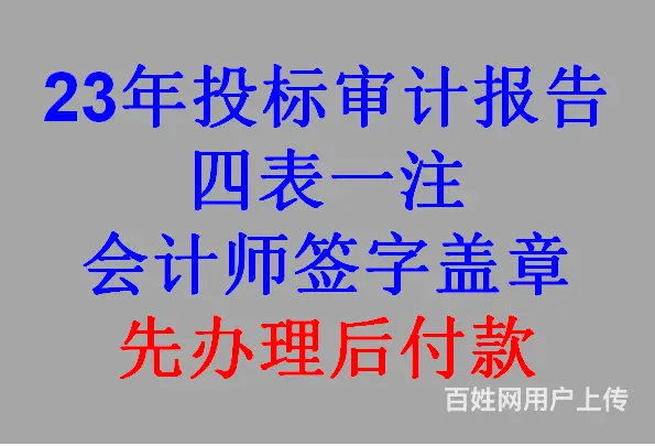 23年投标审计报告多少钱一份 - 图片 1