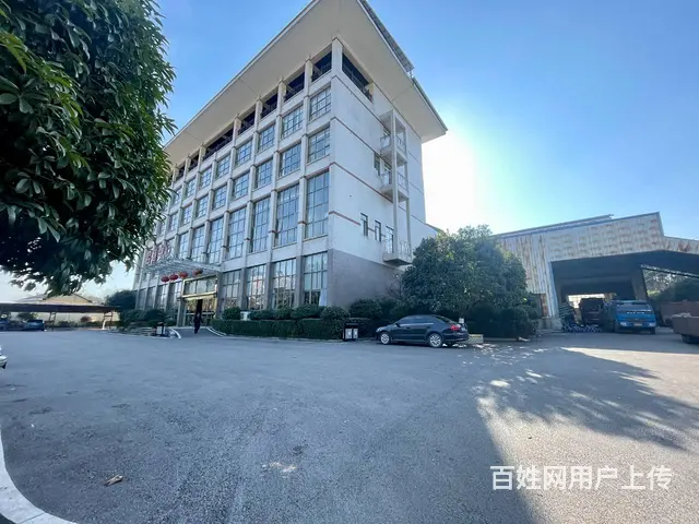 （老板本人）岳麓区标准独门独院厂房仓库出租  5804 - 图片 3