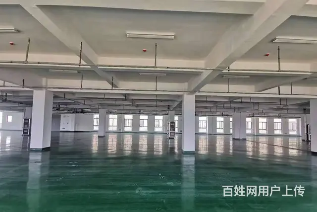 【出租】2500平 厂房 仓库  可分割 可环评 - 图片 1