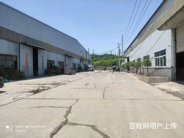 杨山路5000平厂房出租 - 图片 5