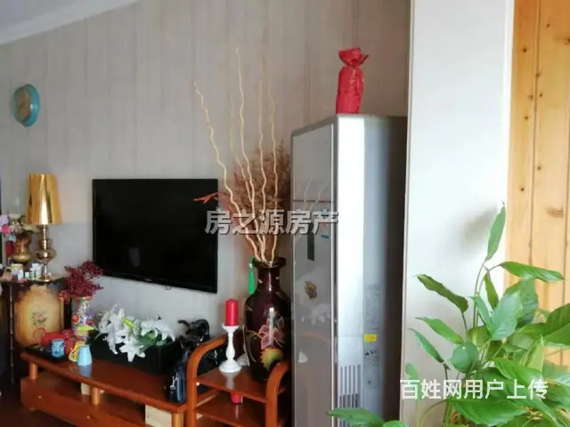 东湖胜景（二期） 95平米 98万 - 图片 2