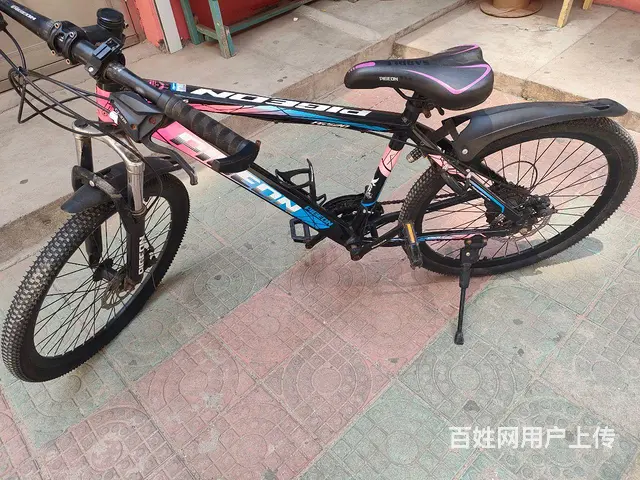 飞鸽牌山地车24寸 - 图片