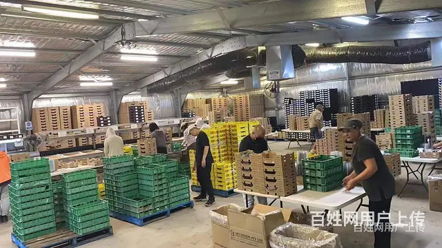 自贡高薪招聘德国普工正规签证 - 图片 1