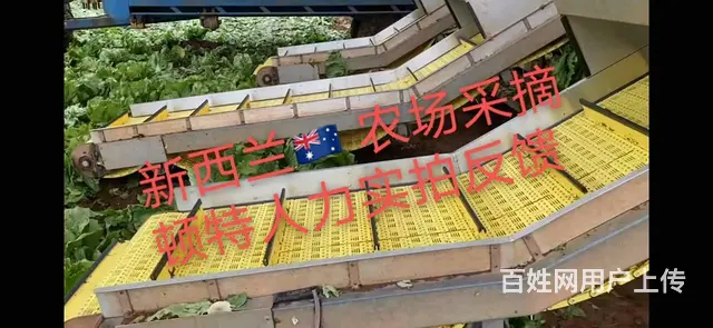 A常州出国安全发达国家，工签务工年入40万 - 图片 5