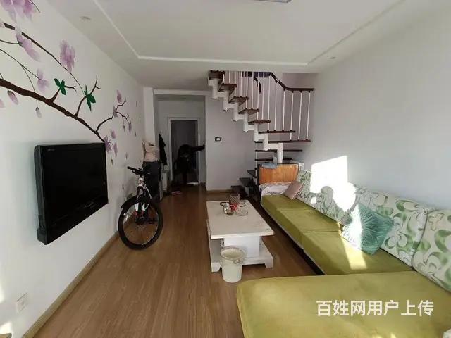 青年公寓 普通住宅 精装修 - 图片 1