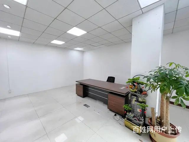 288方精装写字楼，物业直租，气派董事长办公室，免物业管理费 - 图片 6