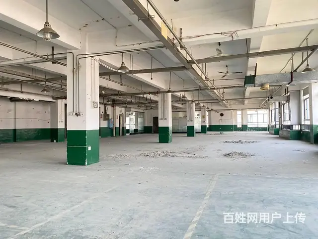 （房东直租）星沙中部智谷440一900平厂房出租，可分租 - 图片 3