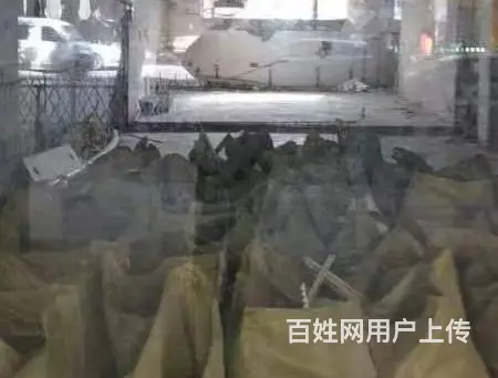 【搞定了！】青庭商铺 两间出租 贝村路沿街好位置两间85平店 - 图片 4