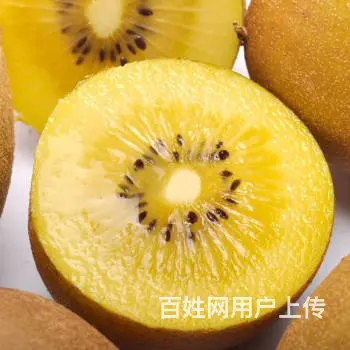 各类水果 - 图片 8