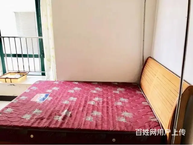 白天鹅花园二期 释心少见淡定导 培养默契你才行！ - 图片 7