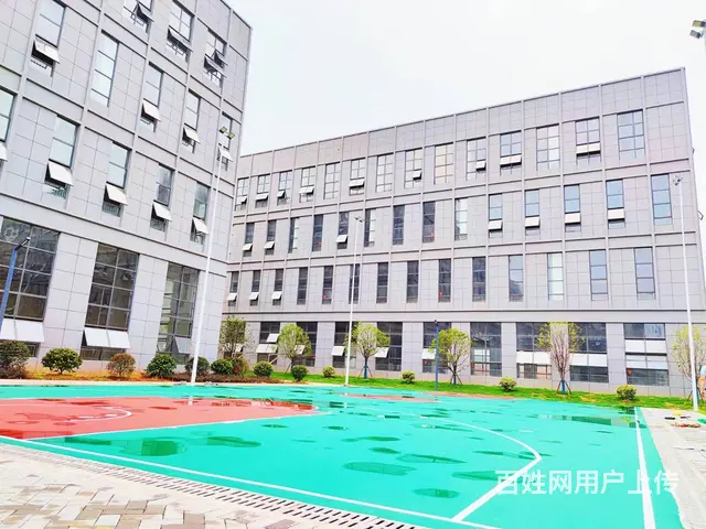 100-2000平米办公楼出租（价格低，优惠大） - 图片 3