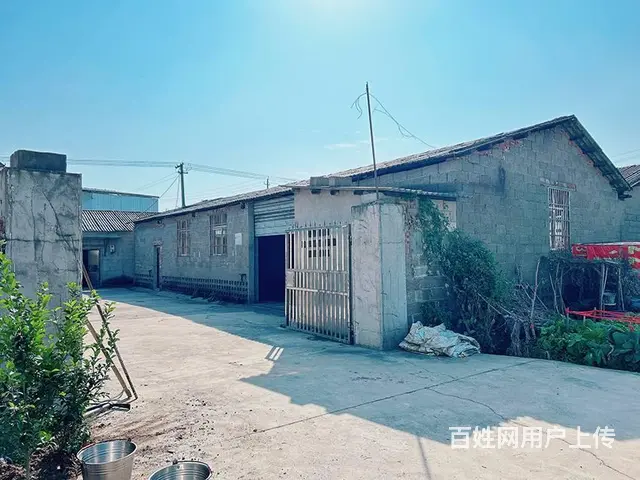 （老板本人）天心区湘江南路旁厂房/仓库房东低价出租 5787 - 图片 1