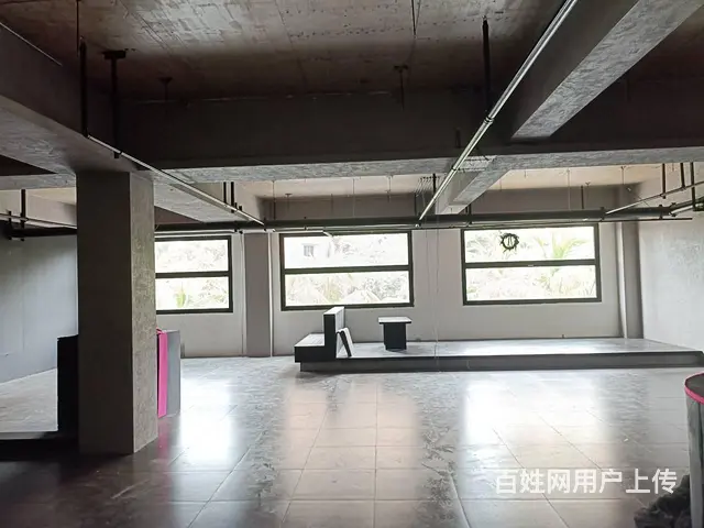 （51旺铺推荐）金鸡岭300平独栋铺面出租 - 图片 4