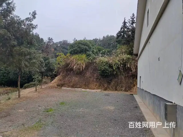 （老板本人）长沙县黄兴大道旁整栋厂房+场地低价出租 5768 - 图片 4
