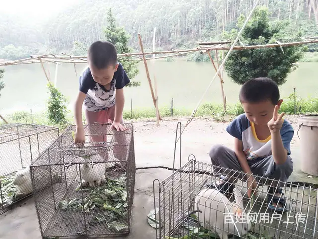 划船野炊烧烤拓展 - 图片 9