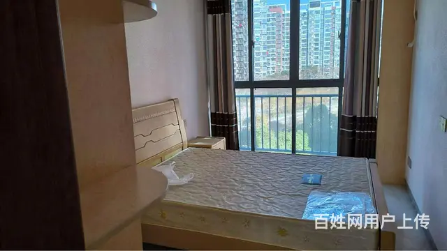 梦湖尊品3室2卫豪华装修 - 图片 3
