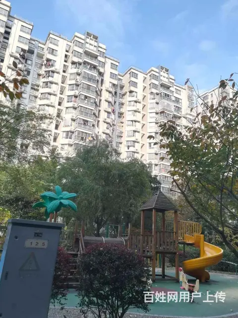 滨江86平 南北通透 三朝南 满5唯1  自住保养 - 图片 11