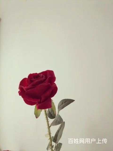 真心找一位和我慢慢变老的人！ - 图片
