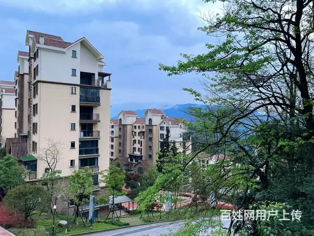 江津东胜避暑房70年大产权 - 图片