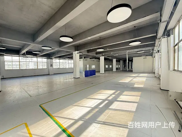 （创美）高区天津路一诺厂房办公室出租，可分租 - 图片 4