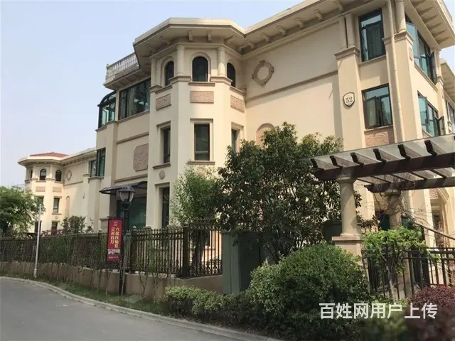 大名城(别墅)毛坯纯别墅区触底直卖实惠型的别墅哦 - 图片 1