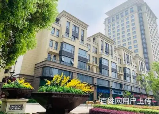 玺悦龙城165平花园式办公洋房欢迎看房 - 图片 3