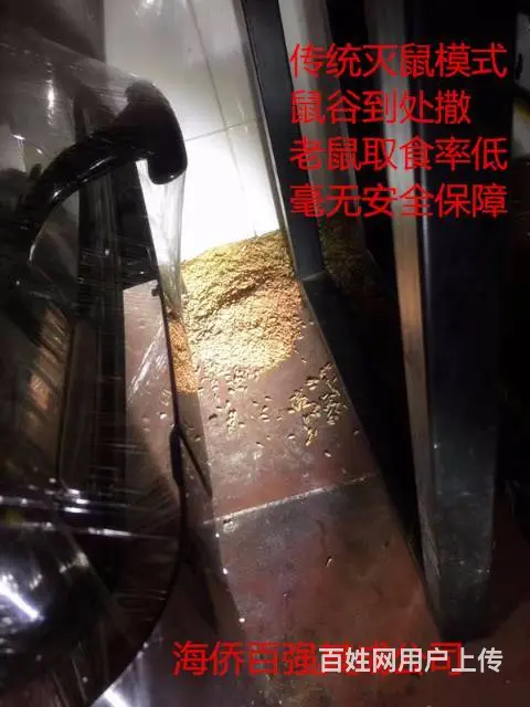 珠海灭蟑螂，灭鼠，灭白蚁！无效退款 - 图片 8