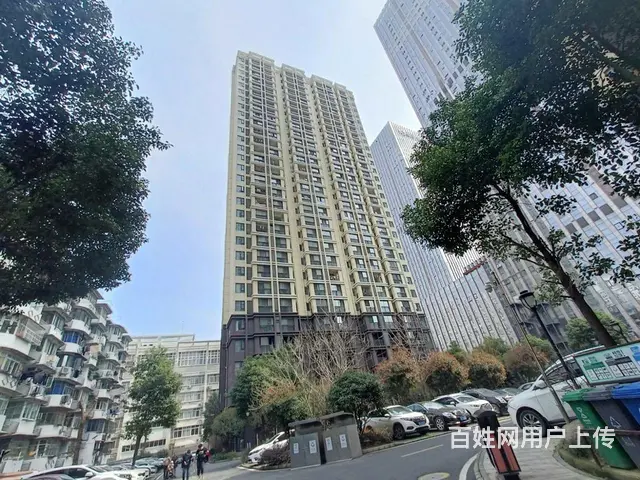 48地铁岳家嘴 精装修两室 中兴时代数码港 山河 - 图片 11