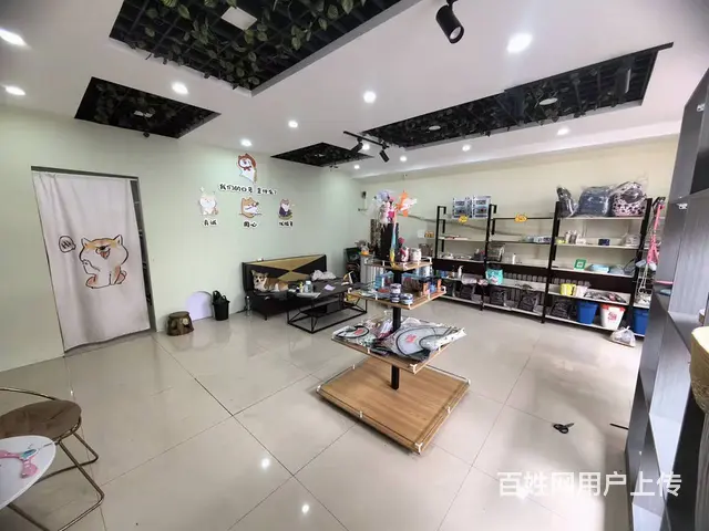 国奥现代城宠物店出兑可空兑适合各类生意： - 图片 3