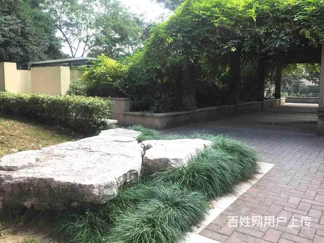 文化广场地铁旁香缇湾精装3房，满2年，南北通透，急售，有图 - 图片 11