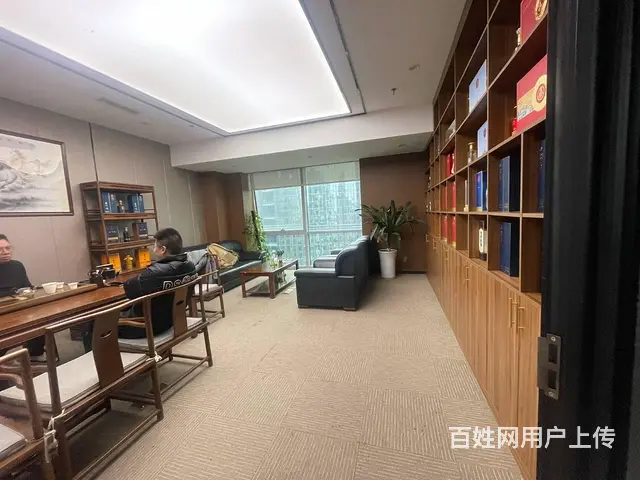 天府二街300平接待办公室 甲级纯写业主直租 - 图片 6