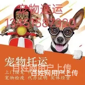 新消息（临沧宠物托运猫狗活体物查询}/今日/热点2022信息 - 图片 1