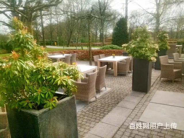 出国高薪你也行—荷兰奶粉厂一保签出境一找蒋老靠谱 - 图片 1