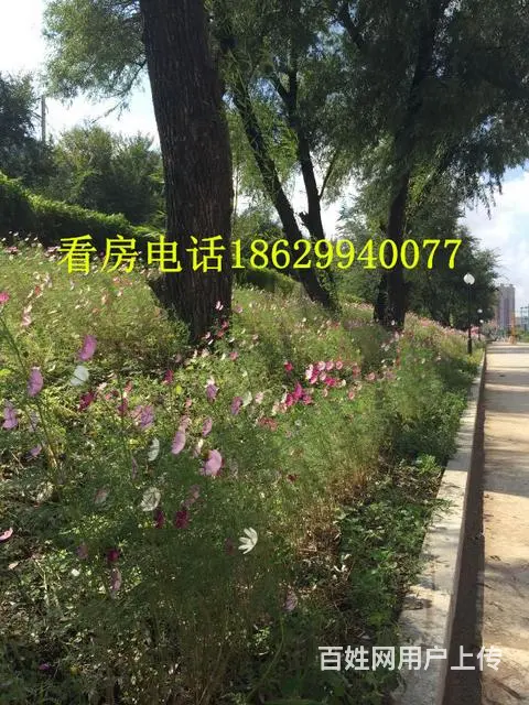 解放路旁】零首付】毛坯现房】南北通透】楼层可选 - 图片 5